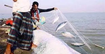 আগামী ১২ অক্টোবর থেকে ইলিশ ধরা-বিক্রি-মজুত নিষিদ্ধ