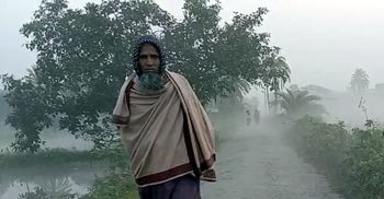 সমুদ্র উপকূলীয় কলাপাড়ায় ঘন কুয়াশার সঙ্গে বেড়েছে শীতের তীব্রতা