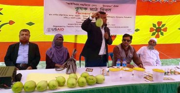 কলাপাড়ায় আইপিএম পদ্ধতিতে বেগুন উৎপাদনে কৃষক মাঠ দিবস