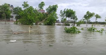 ঘূর্ণিঝড় রেমাল: বরিশাল বিভাগের কৃষিতে ক্ষতি ৫০০ কোটি টাকার বেশি