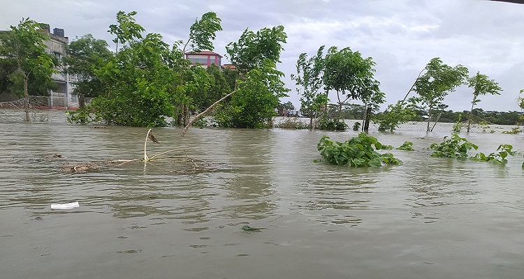 ঘূর্ণিঝড় রেমাল: বরিশাল বিভাগের কৃষিতে ক্ষতি ৫০০ কোটি টাকার বেশি