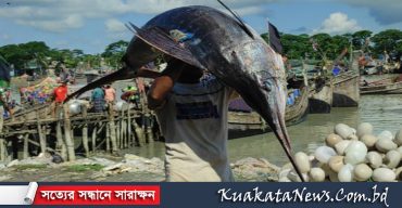 কুয়াকাটায় ধরা পড়ল ৬০কেজি ওজনের পাখি মাছ