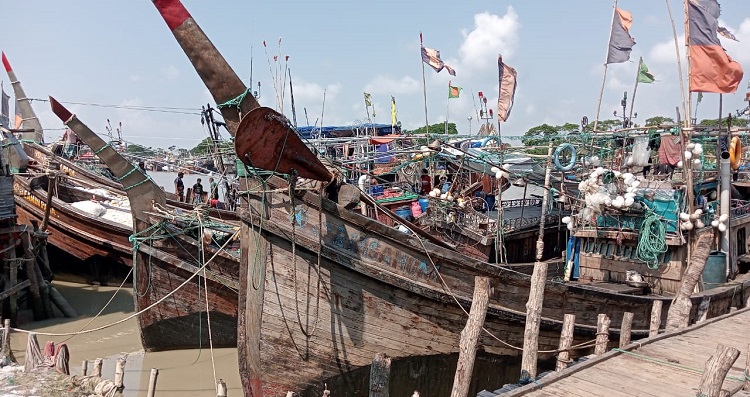 বঙ্গোপসাগরে অবৈধ ট্রলিংয়ে ধ্বংস হচ্ছে মাছের আবাসস্থল