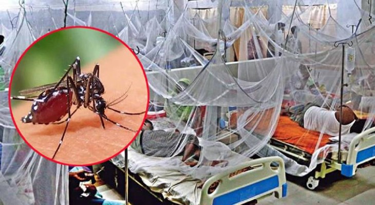 ডেঙ্গু আক্রান্ত আরও ৩১৭ জন হাসপাতালে ভর্তি