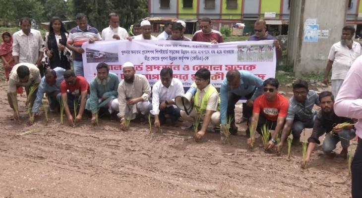 খুলনা উন্নয়ন কর্তৃপক্ষকে লাল কার্ড, সড়কে ধানের চারা রোপণ