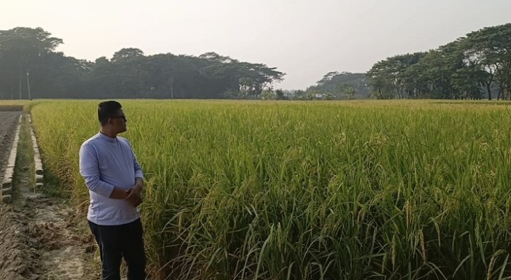 গলাচিপায় সংখ্যালঘু পরিবারের পৈত্রিক ও কবলাকৃত সম্পত্তির ধান জোর দখল করার চেষ্টা