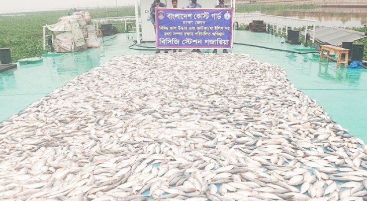 নারায়ণগঞ্জ-মুন্সিগঞ্জে সাড়ে ৩ হাজার কেজি জাটকা জব্দ