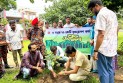 ত্রিশালে ৫ বছরে ২৫ কোটি বৃক্ষরোপণ কর্মসূচির উদ্বোধন