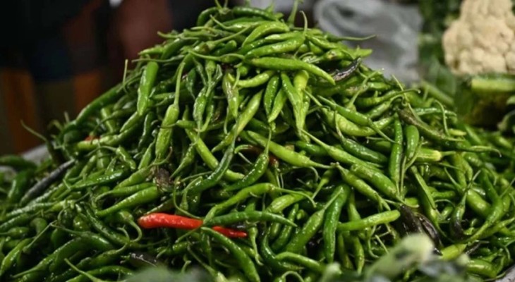 একদিনে ৩০০ থেকে নেমে ১৫০ টাকা কাঁচা মরিচ