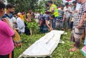 গরুবাহী ভুটভুটি-বাসের মুখোমুখি সংঘর্ষে নিহত ৩, আহত ৪