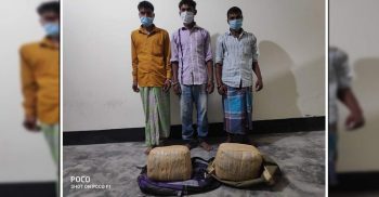 ১০ কেজি গাঁজাসহ ৩ জনকে গ্রেপ্তার করেছে চাঁপাইনবাবগঞ্জ ডিবি পুলিশ